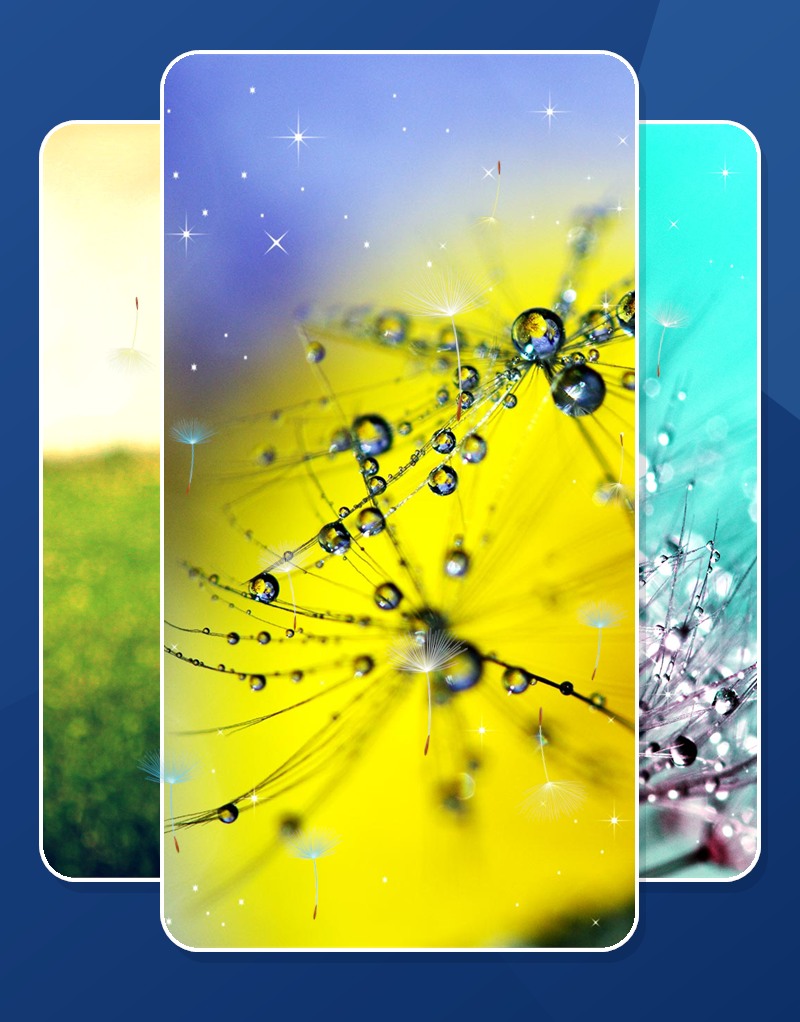 Dandelion Live Wallpaper