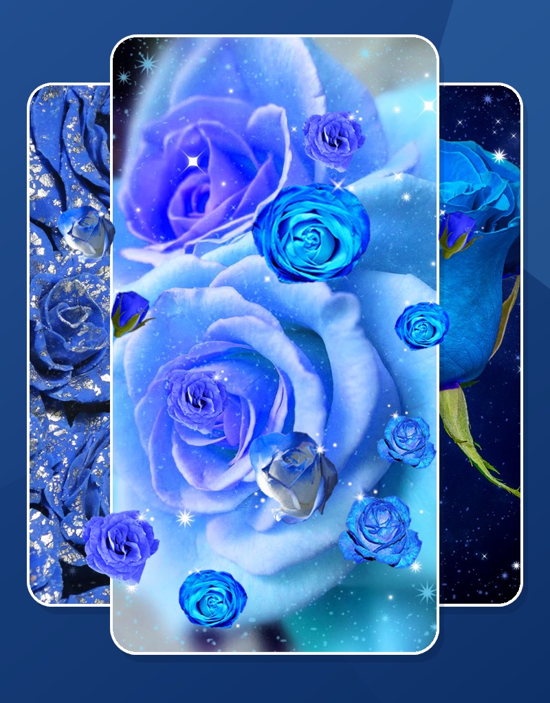 Blue Rose Live Wallpaper