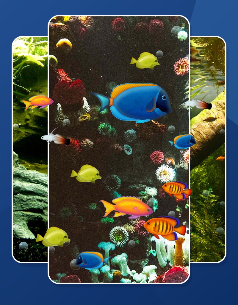 Aquarium Live Wallpaper